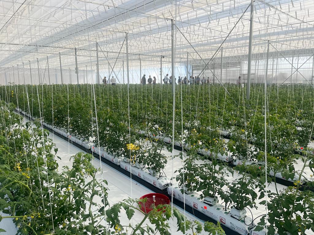 HortDemoCentre -Farming the Future - Creating jobs with climate-smart horticulture - The Greenhouse
